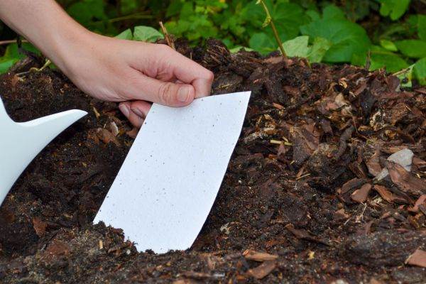 Nahaufnahme einer Hand, die ein Stück Papier hält und Samen in die Erde setzt